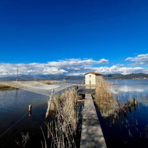 Fattoria di Vecchiano casina degli amori di Giacomo Puccini affacciata sul Lago di Massaciuccoli