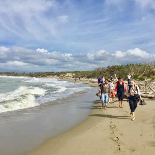 Tenuta di San Rossore: escursione fino al mare e alla spiaggia del Gombo al tramonto