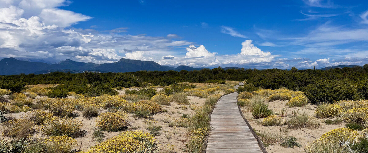 La Lecciona Nature Reserve in the San Rossore Park.