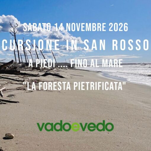 Alberi secchi e spogli nella foresta pietrificata del Parco di San Rossore lungo la spiaggia del Gombo.