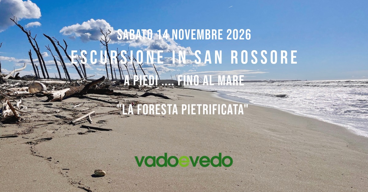Escursione in San Rossore ... fino al mare