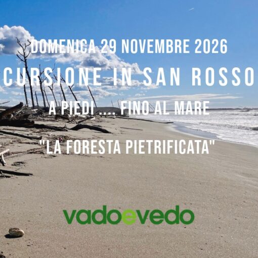 Alberi secchi e spogli nella foresta pietrificata del Parco di San Rossore lungo la spiaggia del Gombo.