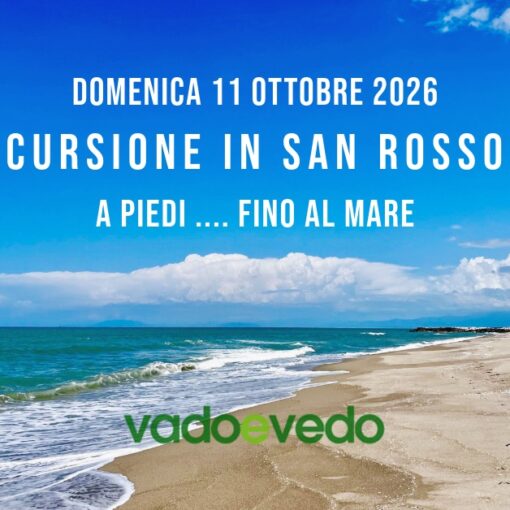 Spiaggia del Gombo nel Parco di San Rossore deserta e selvaggia con cielo azzurro e nuvole bianche. tour guidato zona rossa
