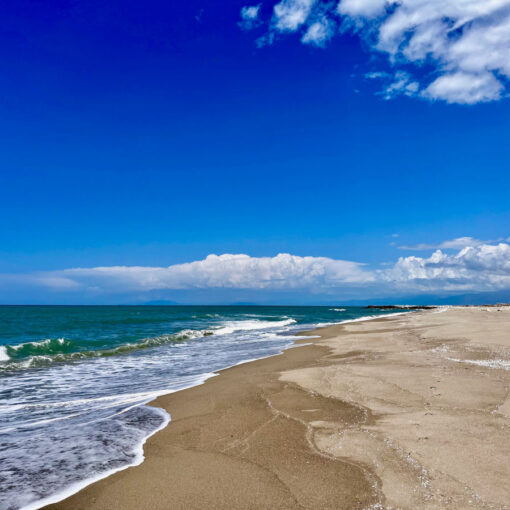 Spiaggia del Gombo nel Parco di San Rossore deserta e selvaggia con cielo azzurro e nuvole bianche. tour guidato zona rossa
