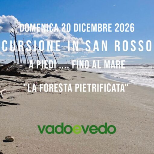 Alberi secchi e spogli nella foresta pietrificata del Parco di San Rossore lungo la spiaggia del Gombo.