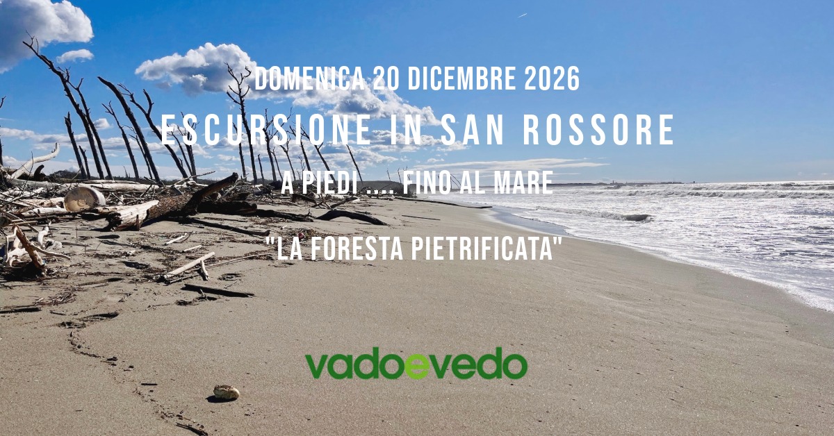 Escursione in San Rossore ... fino al mare