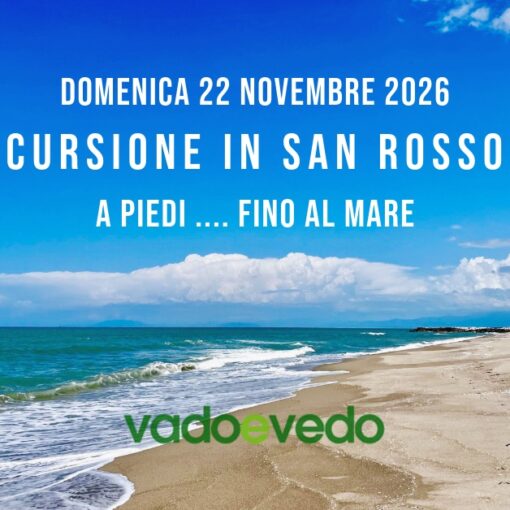 Spiaggia del Gombo nel Parco di San Rossore deserta e selvaggia con cielo azzurro e nuvole bianche. tour guidato zona rossa