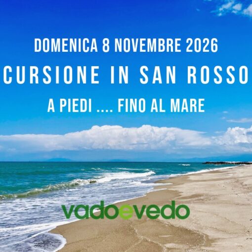 Spiaggia del Gombo nel Parco di San Rossore deserta e selvaggia con cielo azzurro e nuvole bianche. tour guidato zona rossa