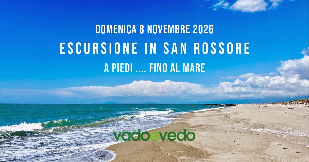 Escursione in San Rossore ... fino al mare